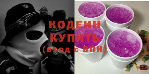 индика Белокуриха