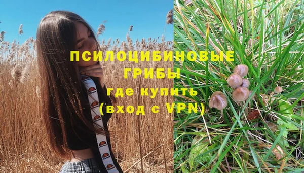 mdpv Белоозёрский