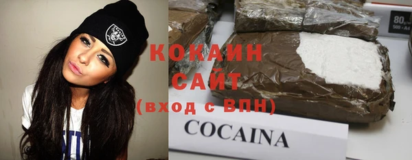 индика Белокуриха