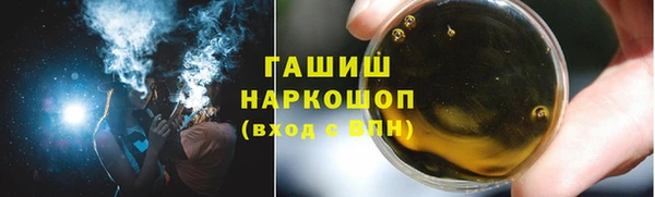 молекула духа Богородицк