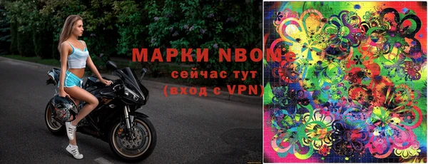 индика Белокуриха