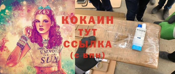 индика Белокуриха