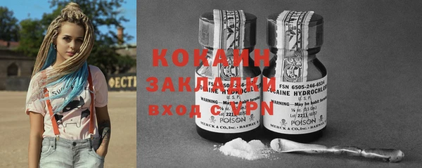 индика Белокуриха