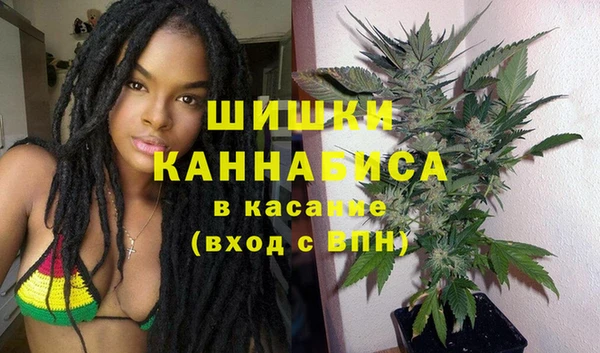 индика Белокуриха