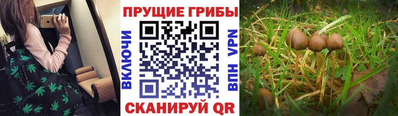 Галлюциногенные грибы Magic Shrooms Магас